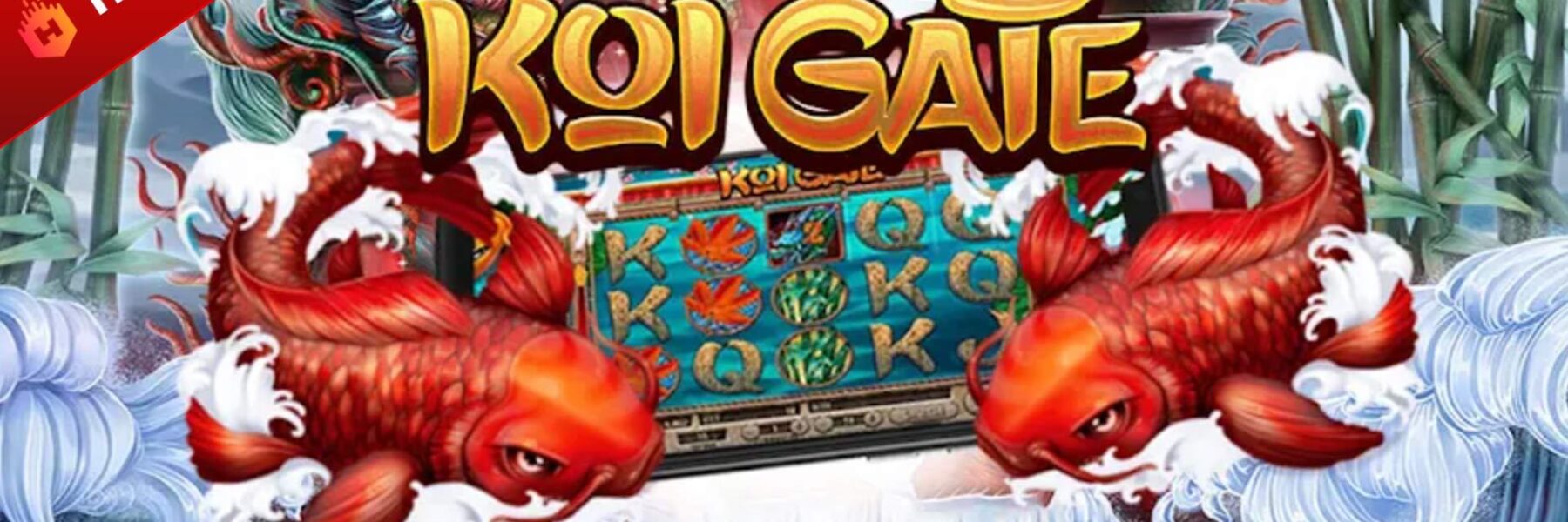 koi gate